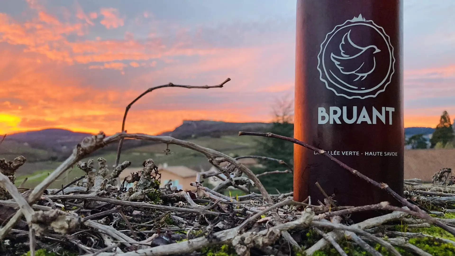 Bière au coucher du soleil