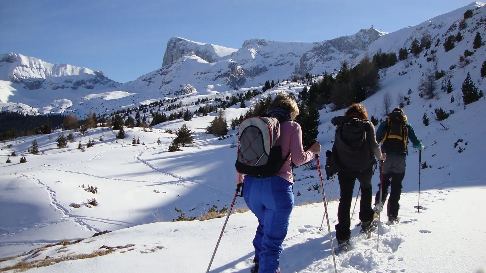 Sortie raquettes avec Michel Manini, Dévoluy, Hautes-Alpes