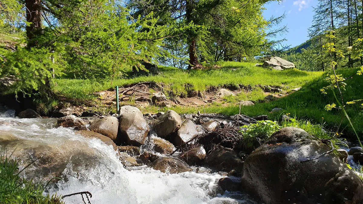 Cours d'eau claire passant le long d'un sentier de forêt, terre et cailloux, montagnes luxuriantes en arrière-plan