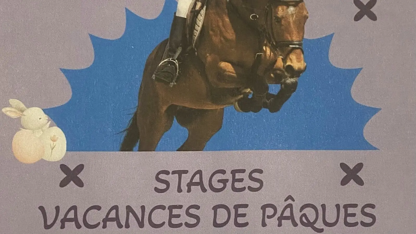 Stages vacances de Pâques de préparation aux examens fédéraux - centre équestre Terre et Ciel_Contrevoz