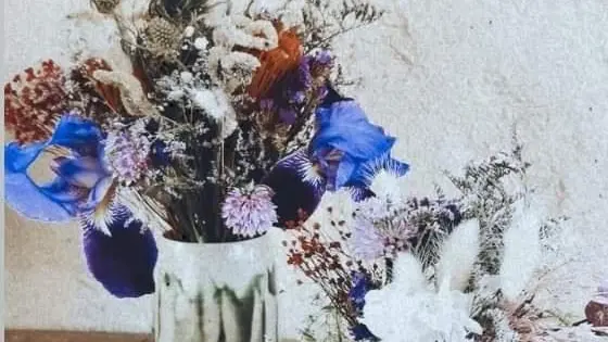 vases Les Petites Carottes