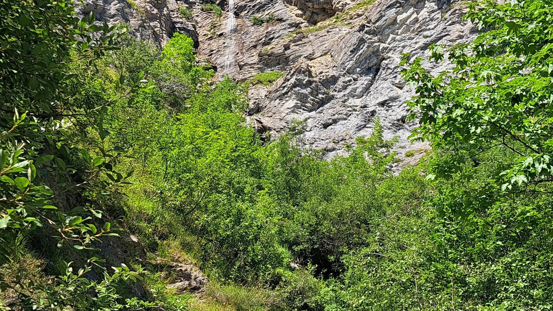 Végétation et rochers