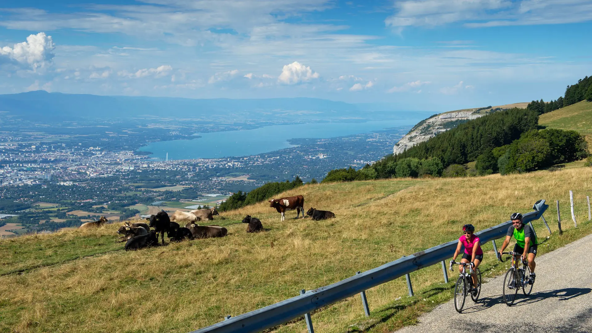 Genève depuis les alpages du Salève