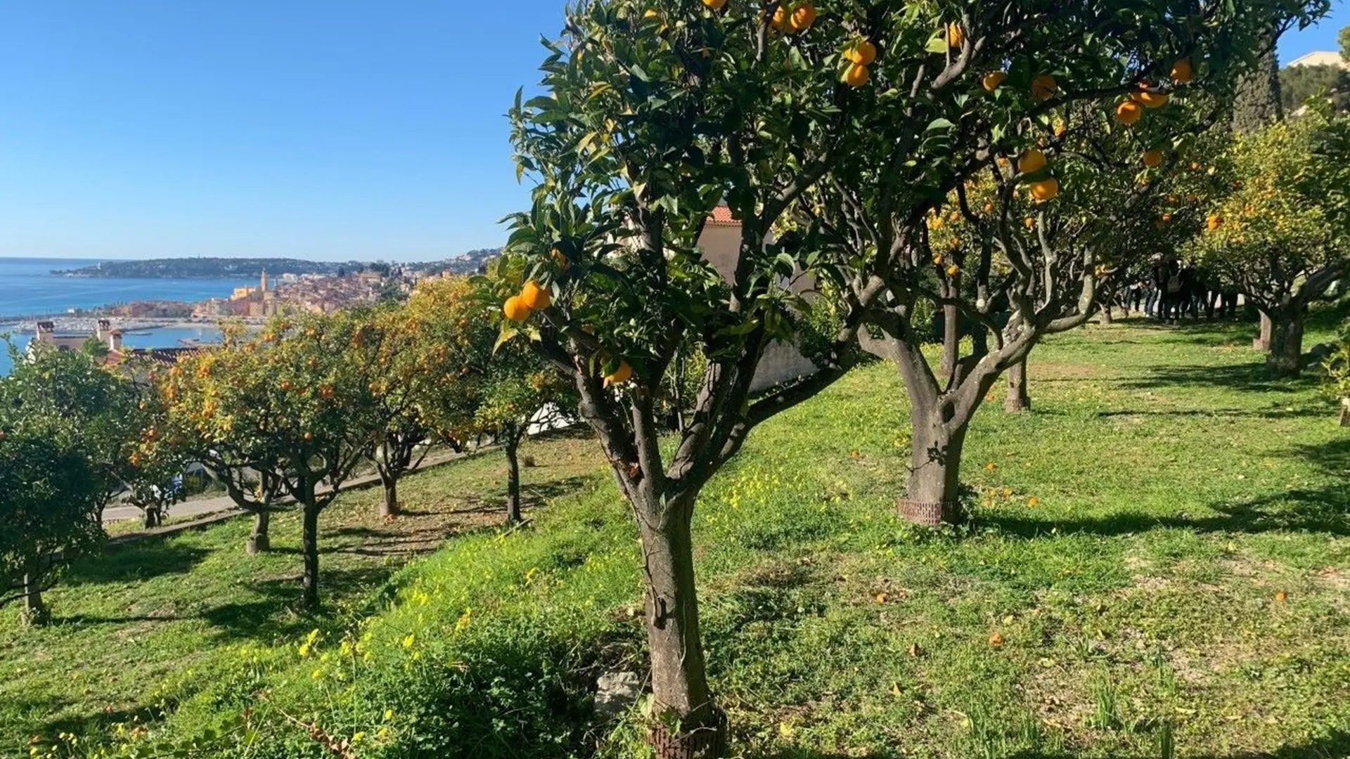 La Casetta pépinières municipales - vue sur la ville