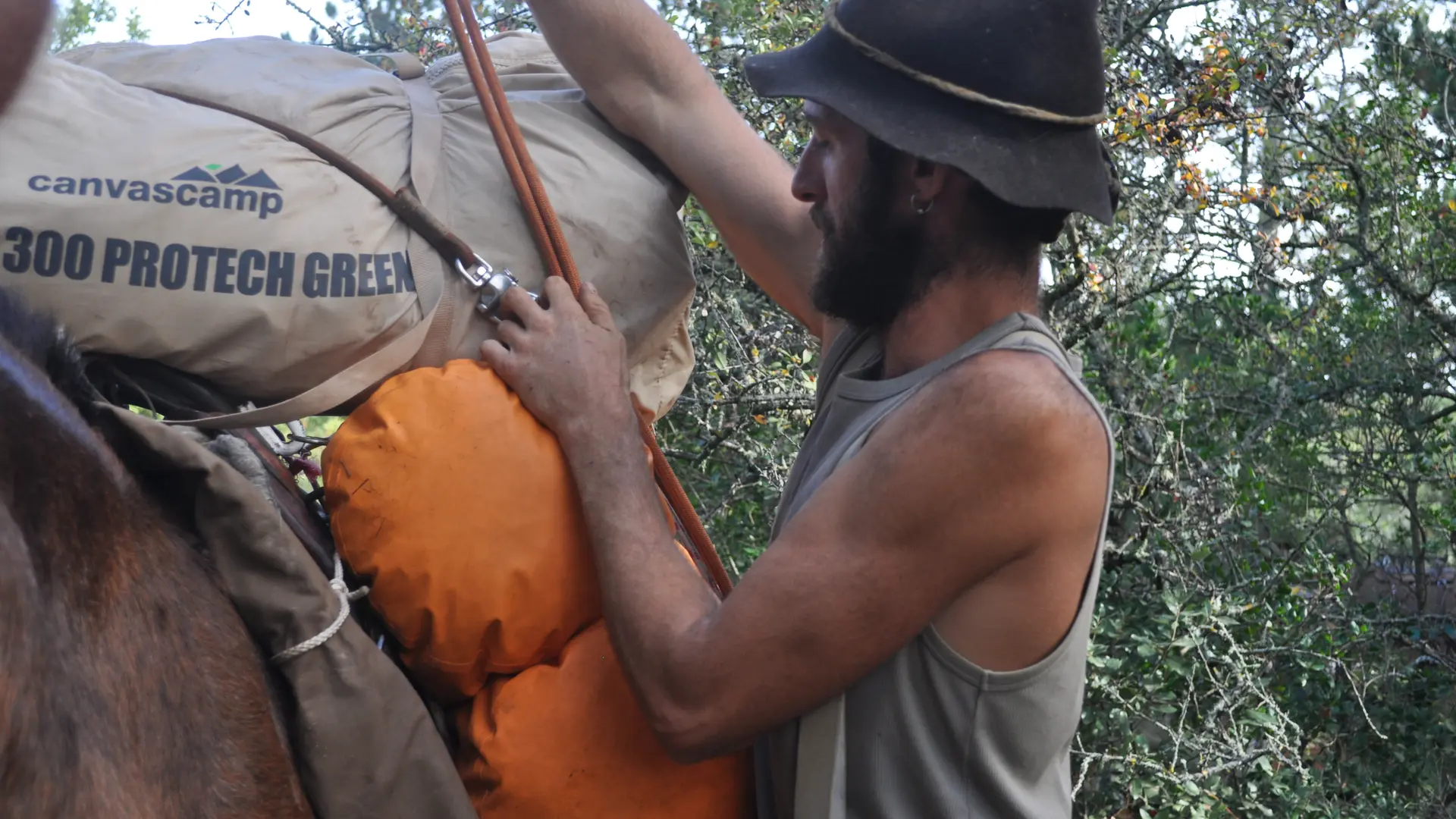 Balades et randonnées avec les muletiers Bigatier à Cuers