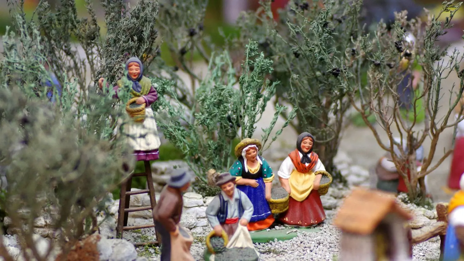 Immersion Tradition : Noël en Provence_Sainte-Maxime