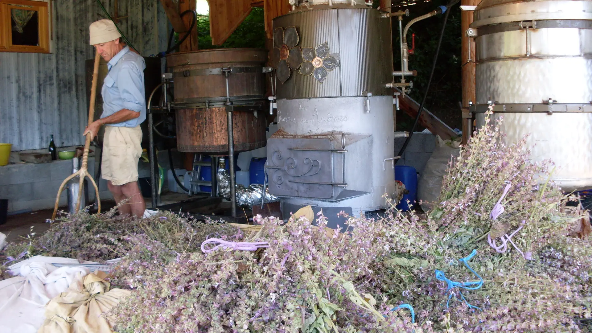 Distillation de plantes aromatiques et médicinales