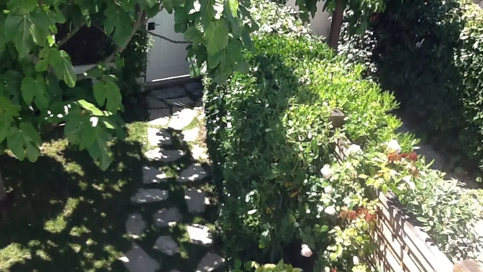 Entrée et jardin