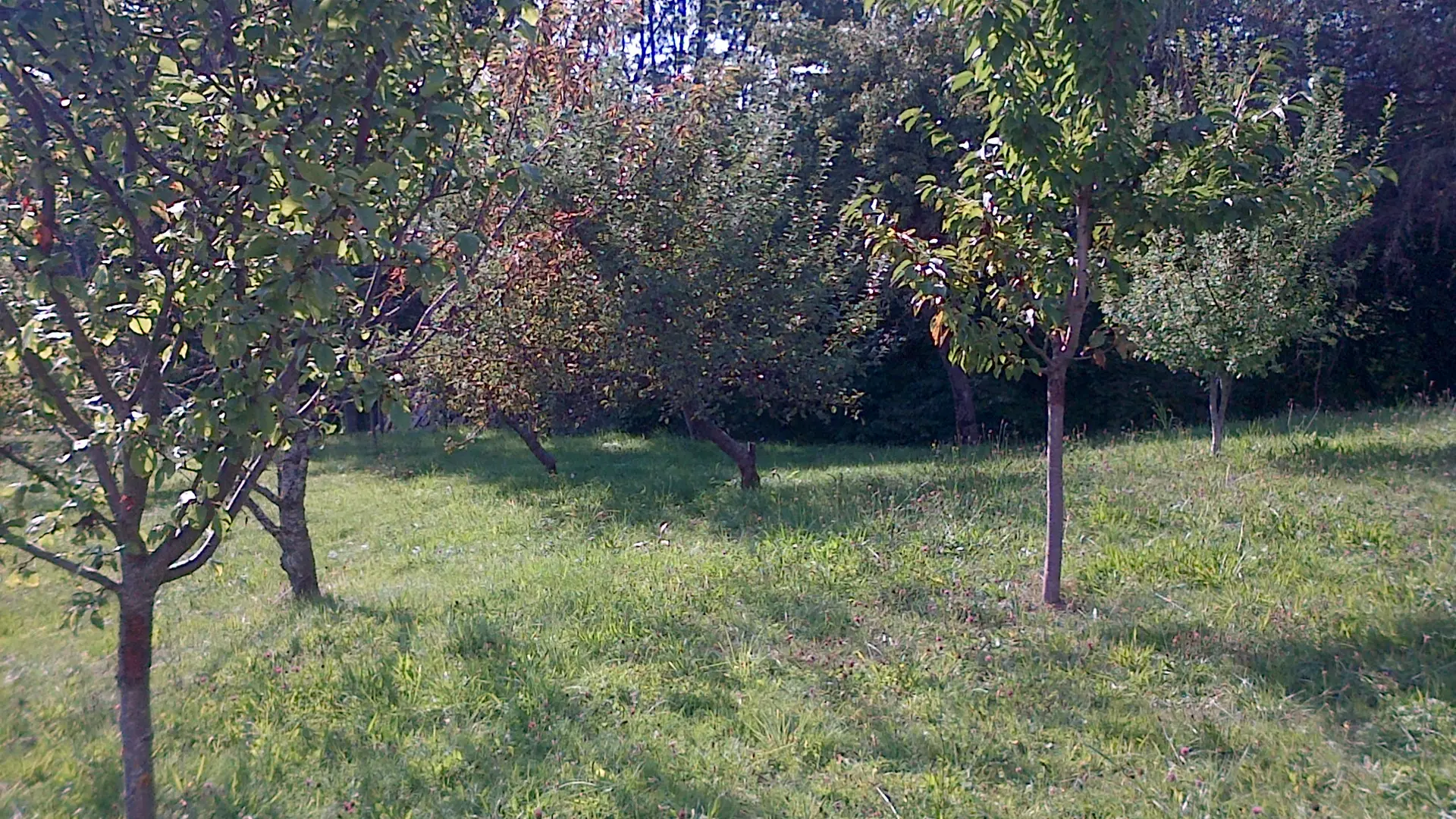 Le Jardin