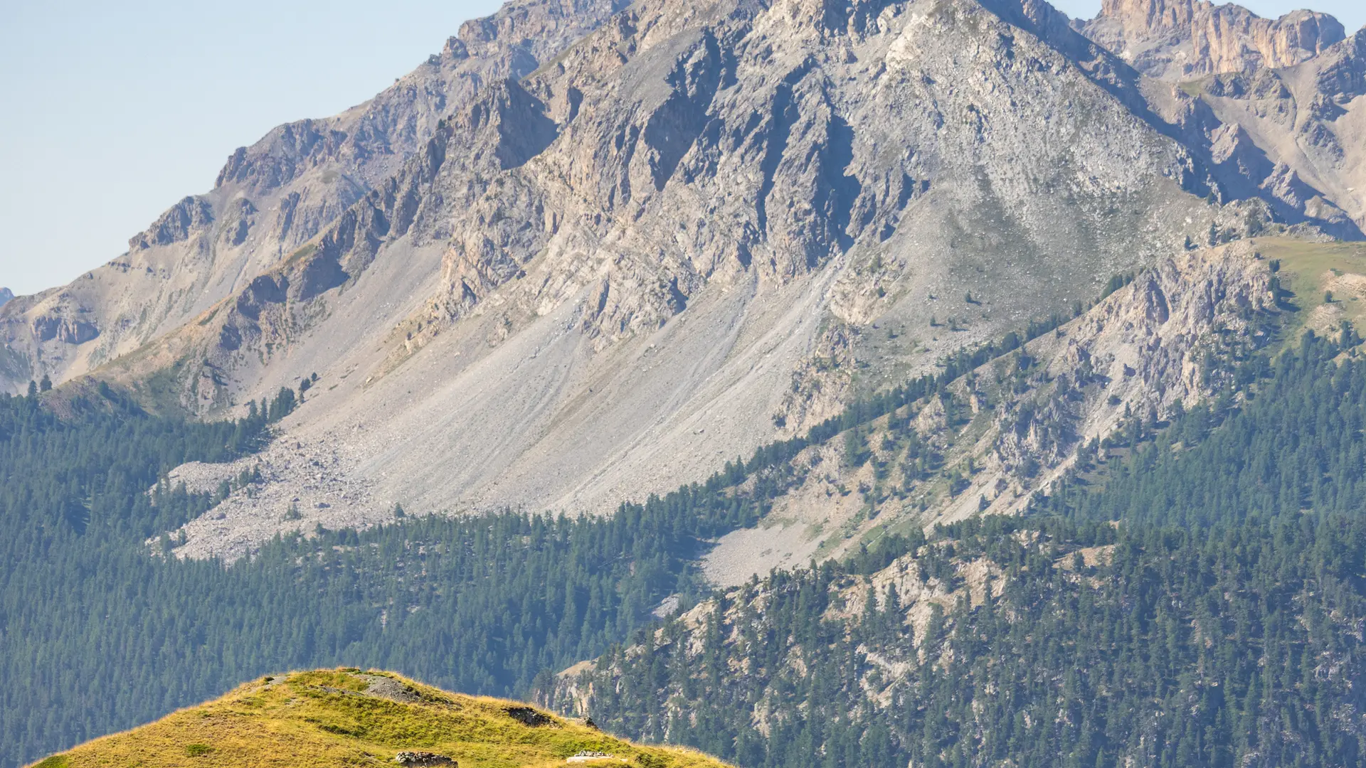 Sentier géologique du Chenaillet