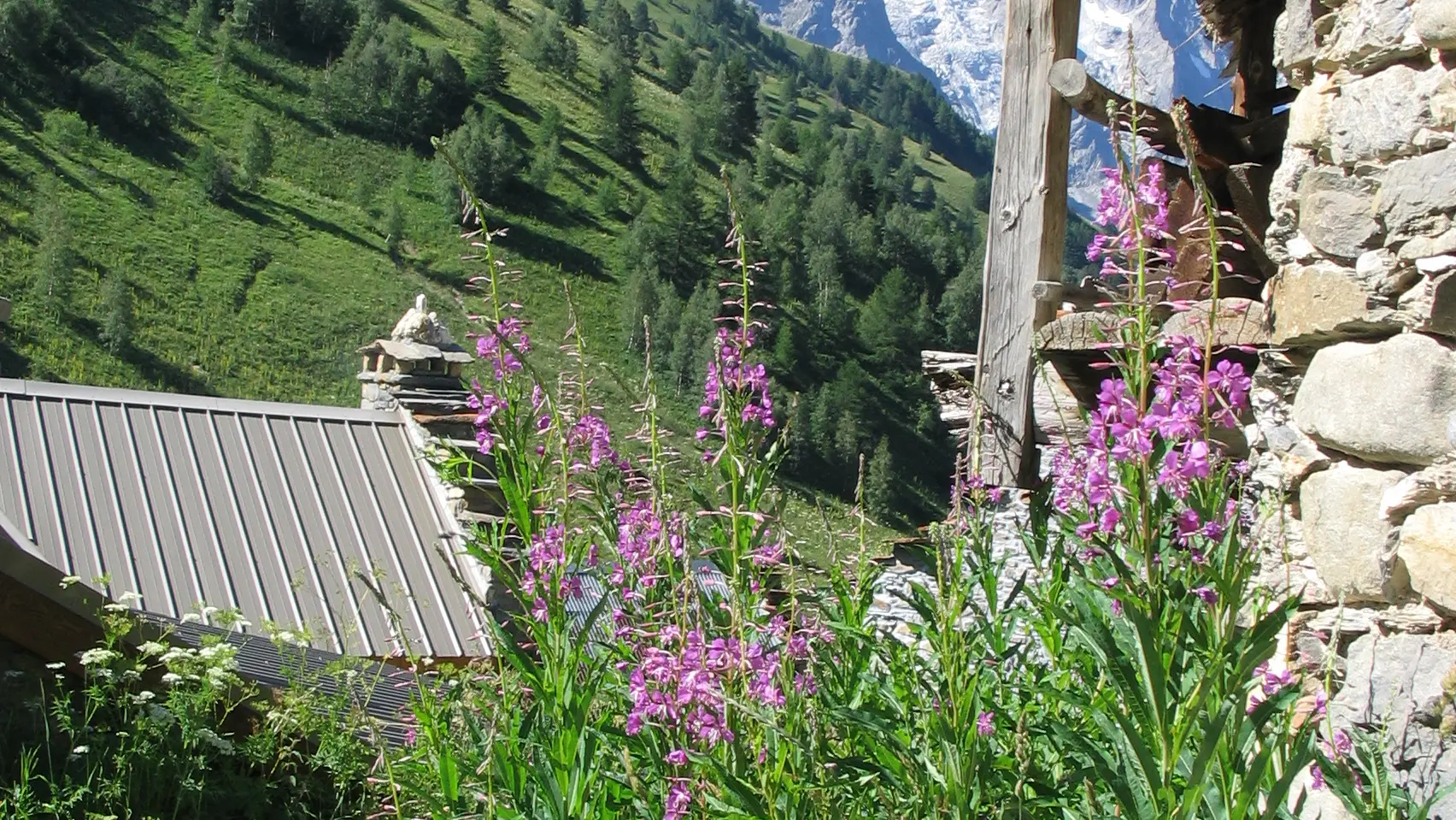 La Meije vu de Valfroide