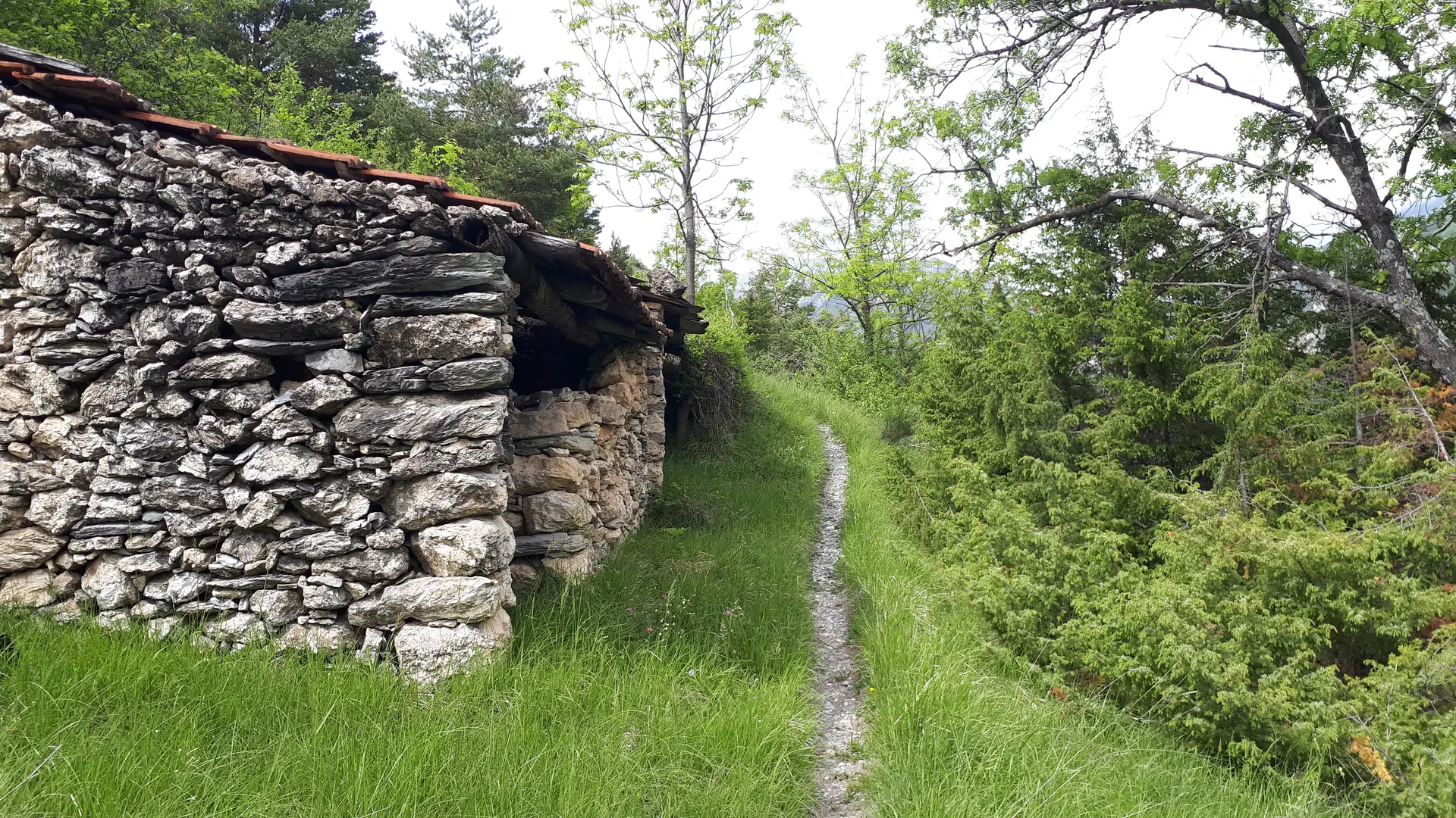 sentier de randonnée