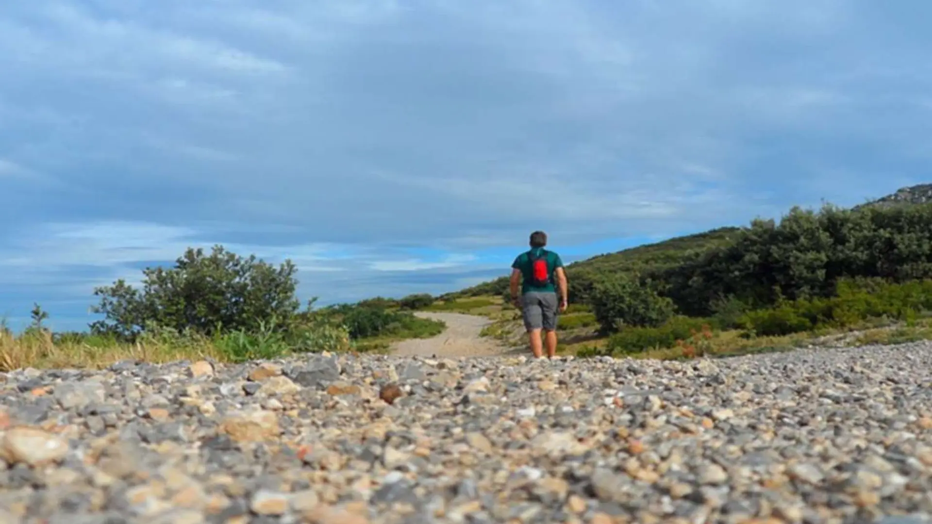 A la découverte des oiseaux des Alpilles