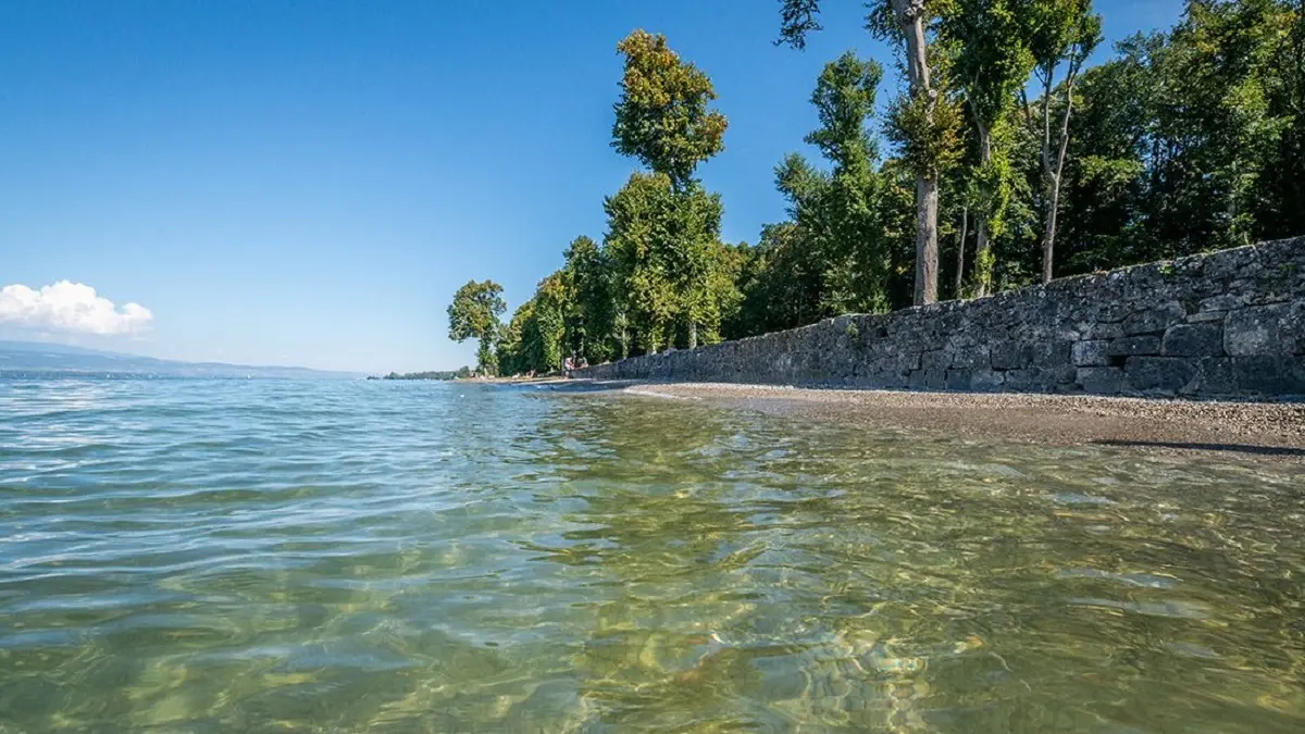 Plage de Tougues