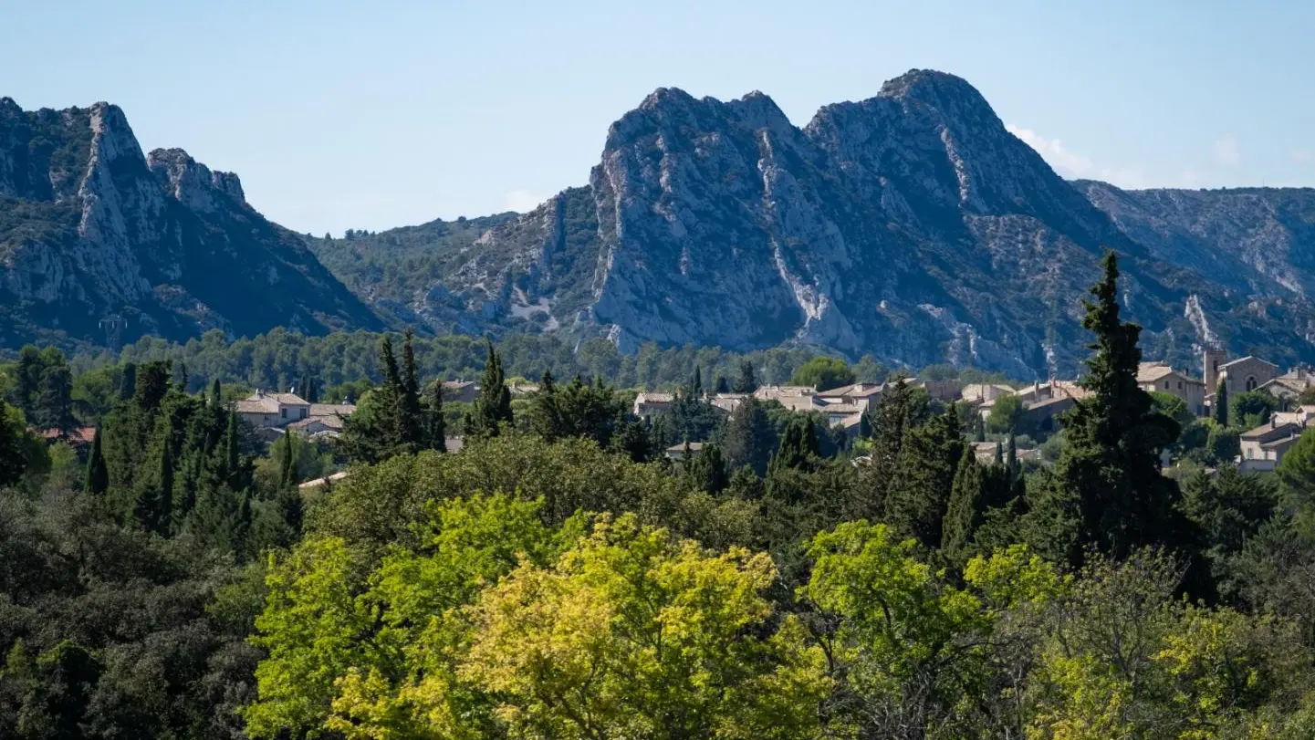 Vue sur les Alpilles !