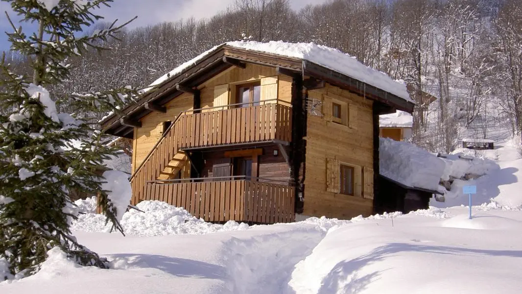 Les Fauvettes en hiver