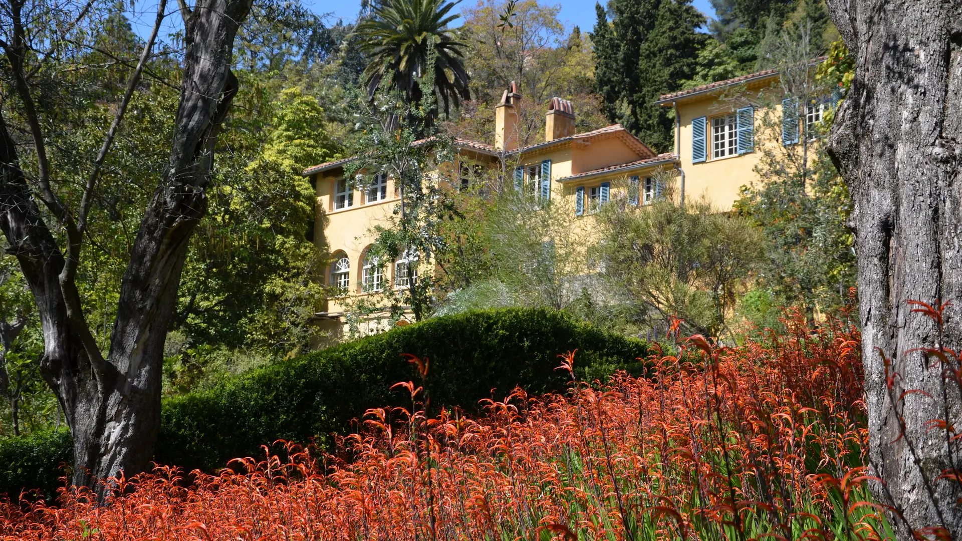 Jardin Serre de la Madone