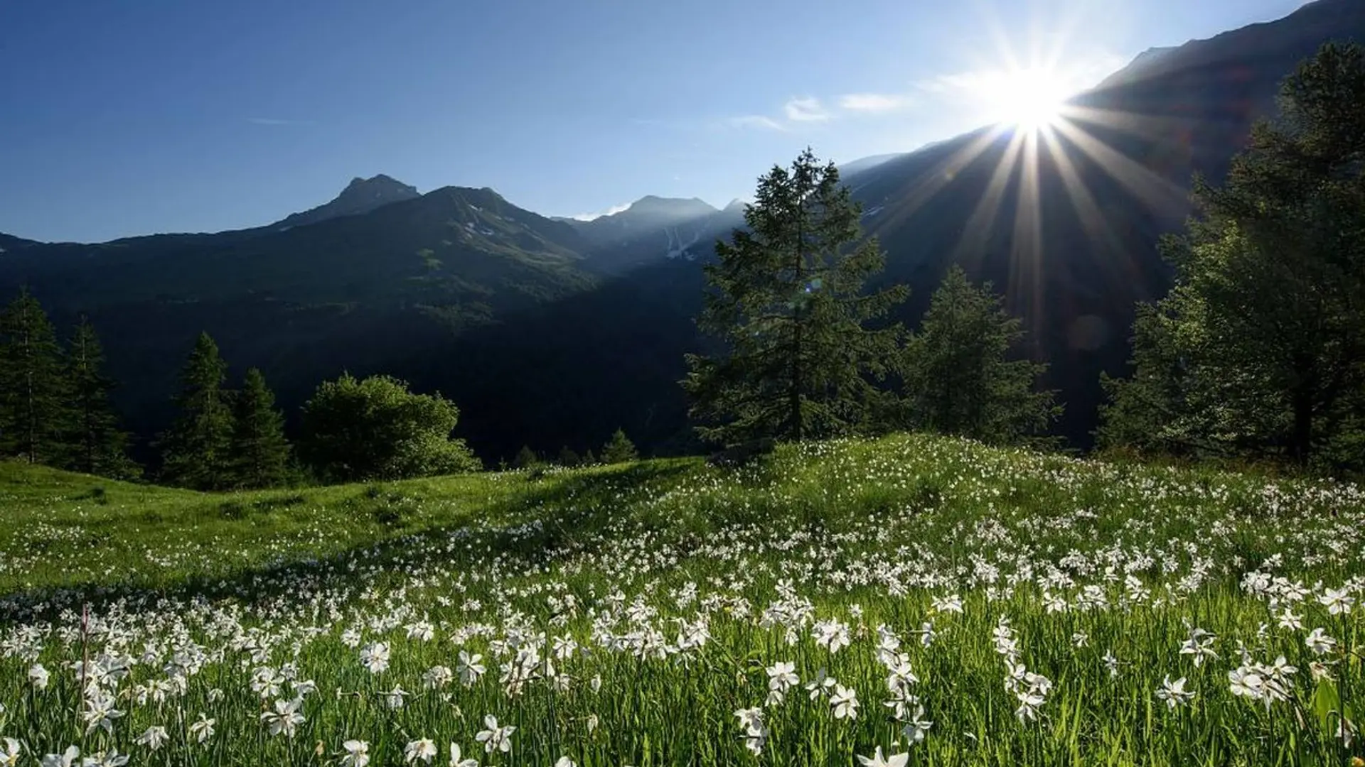 Sentier de l'Oussella