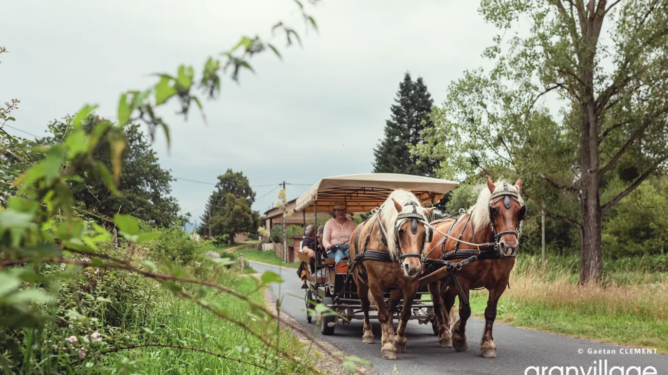 Balade des Varennes en attelage