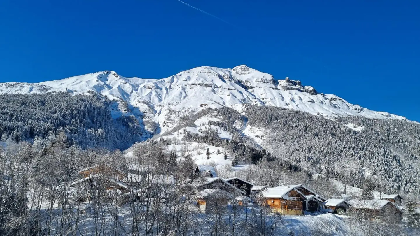 vue du chalet. Hiver 2021-2022