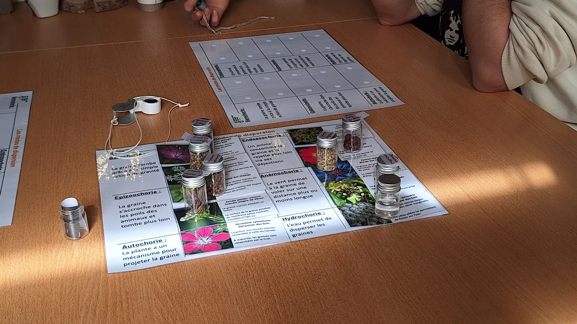 Fioles de graines à observer