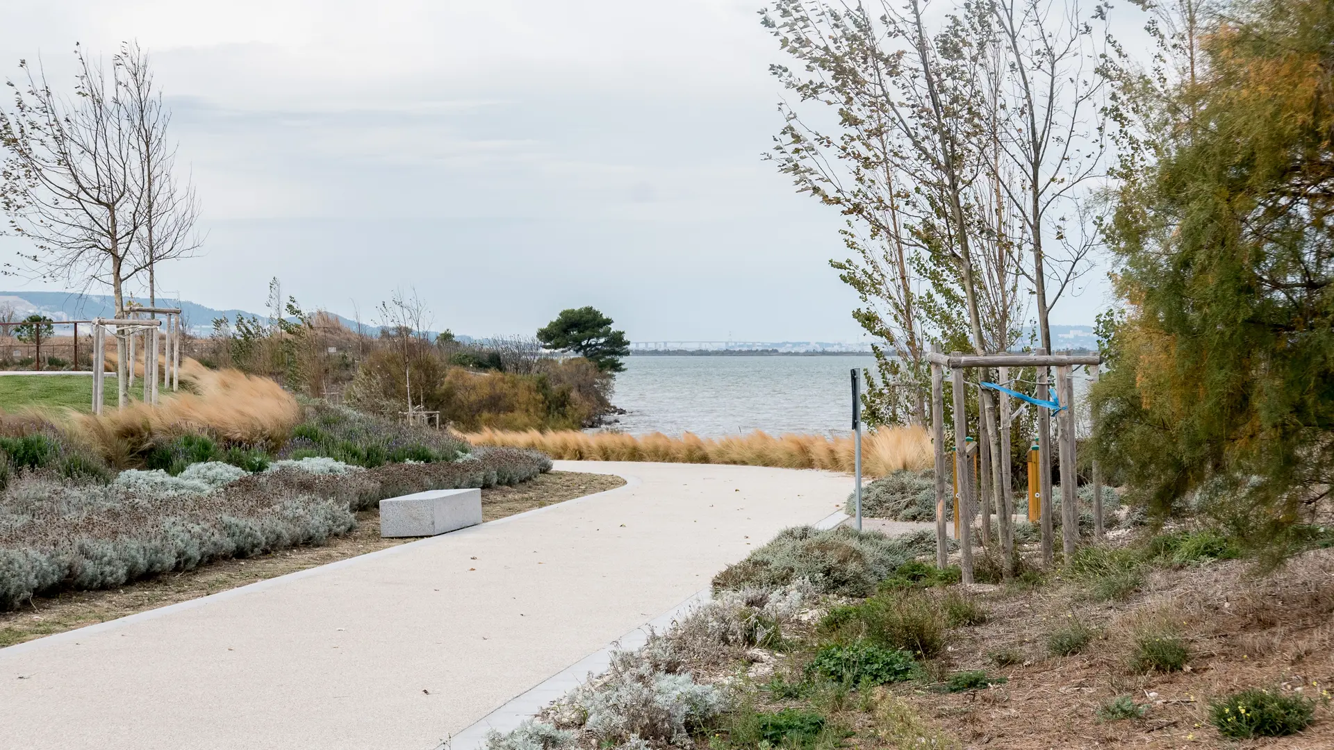 Cheminement au bord de l'étang de Bolmon