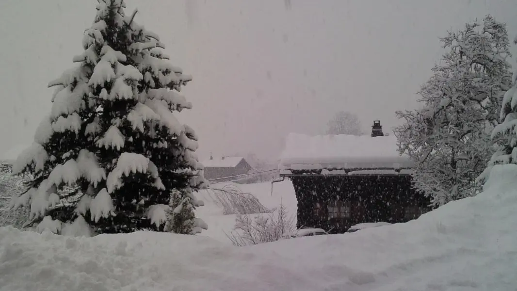 Hiver Le Bosson Morillon