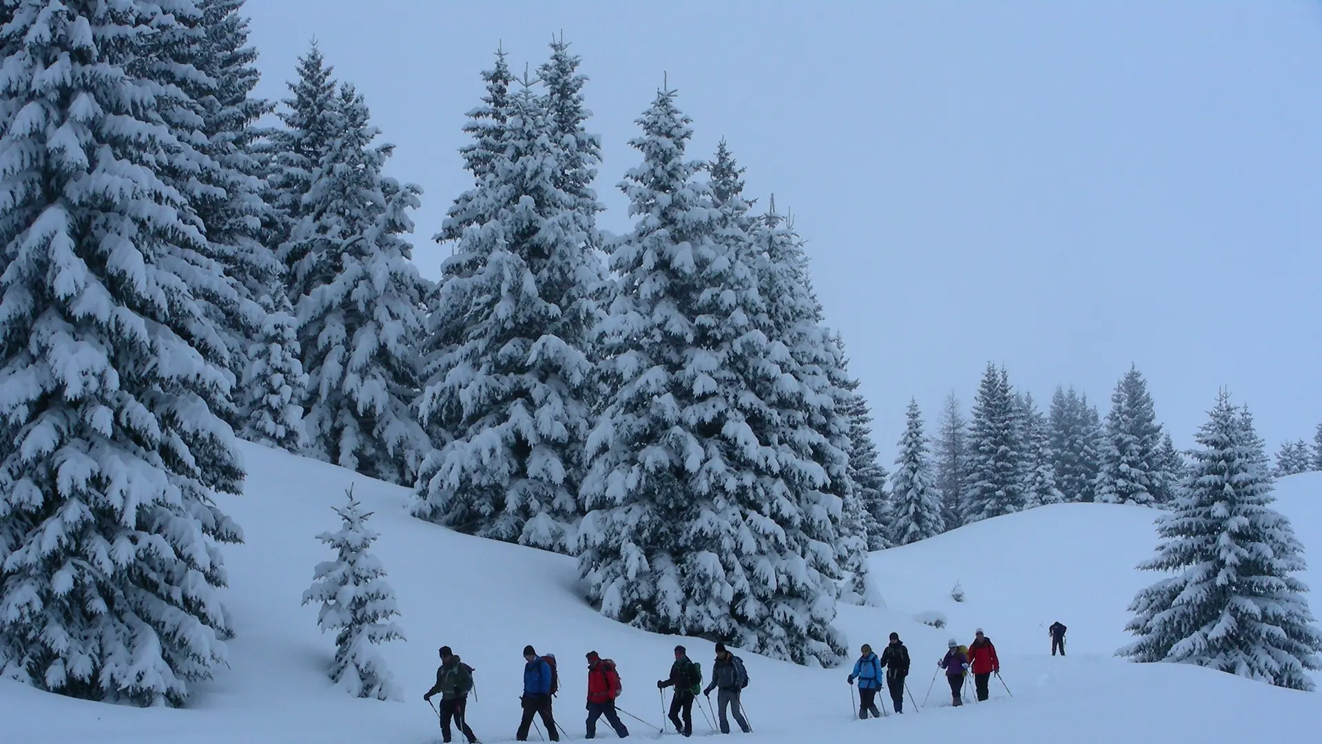 Sortie raquettes avec Michel Manini, Dévoluy, Hautes-Alpes