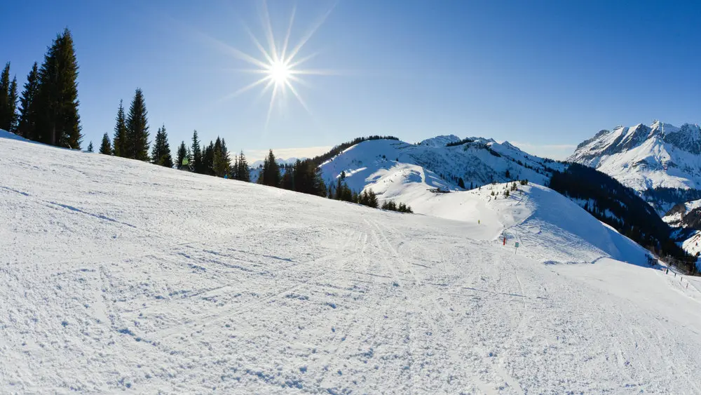 Paysage hiver