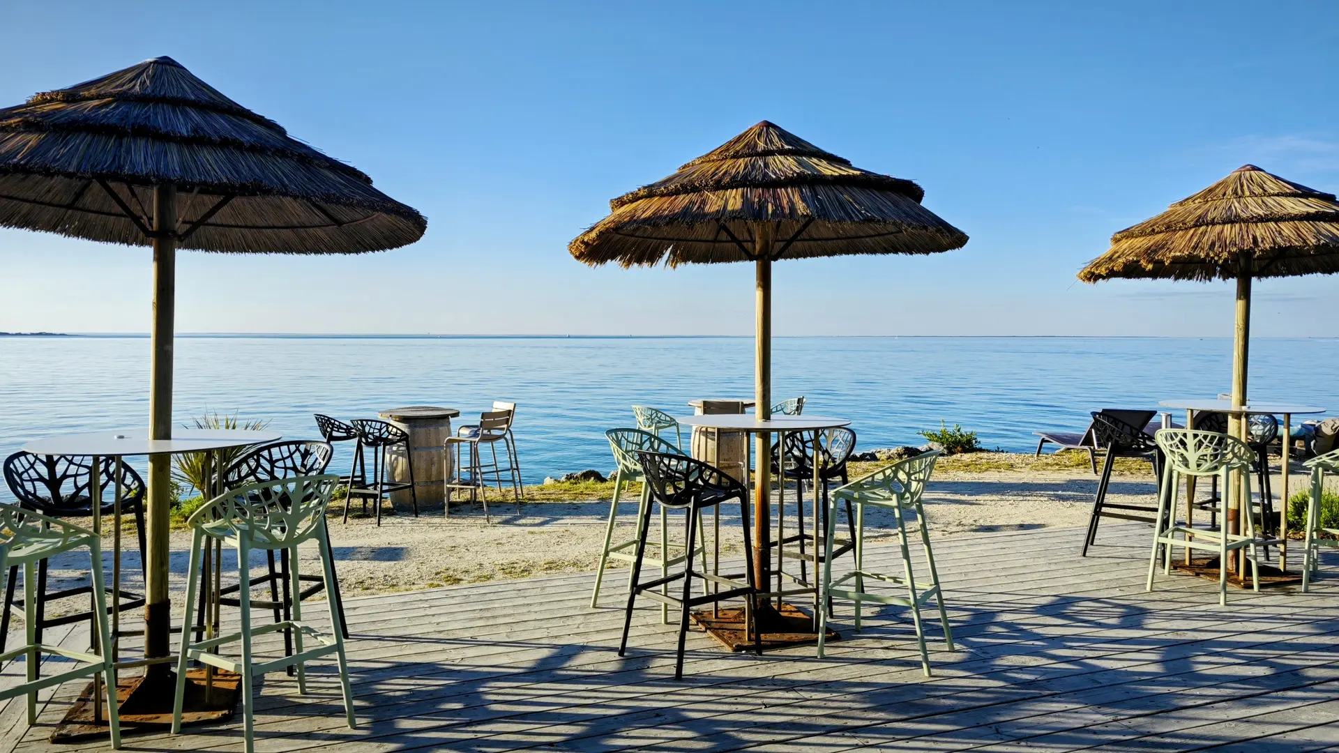 Wine tasting with sea view