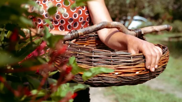 Panier plat
