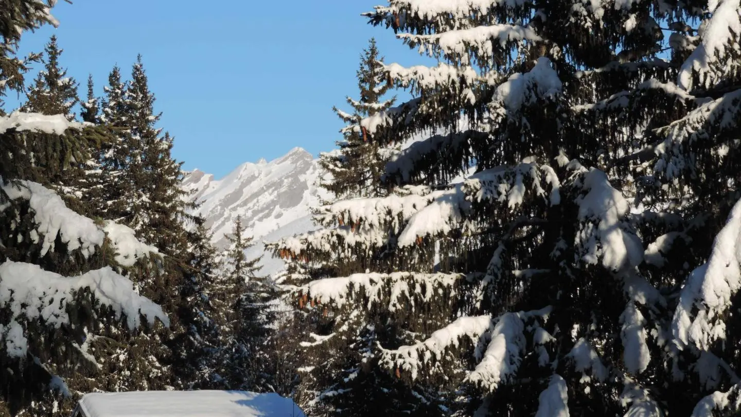 Paysage de montagne en hiver
