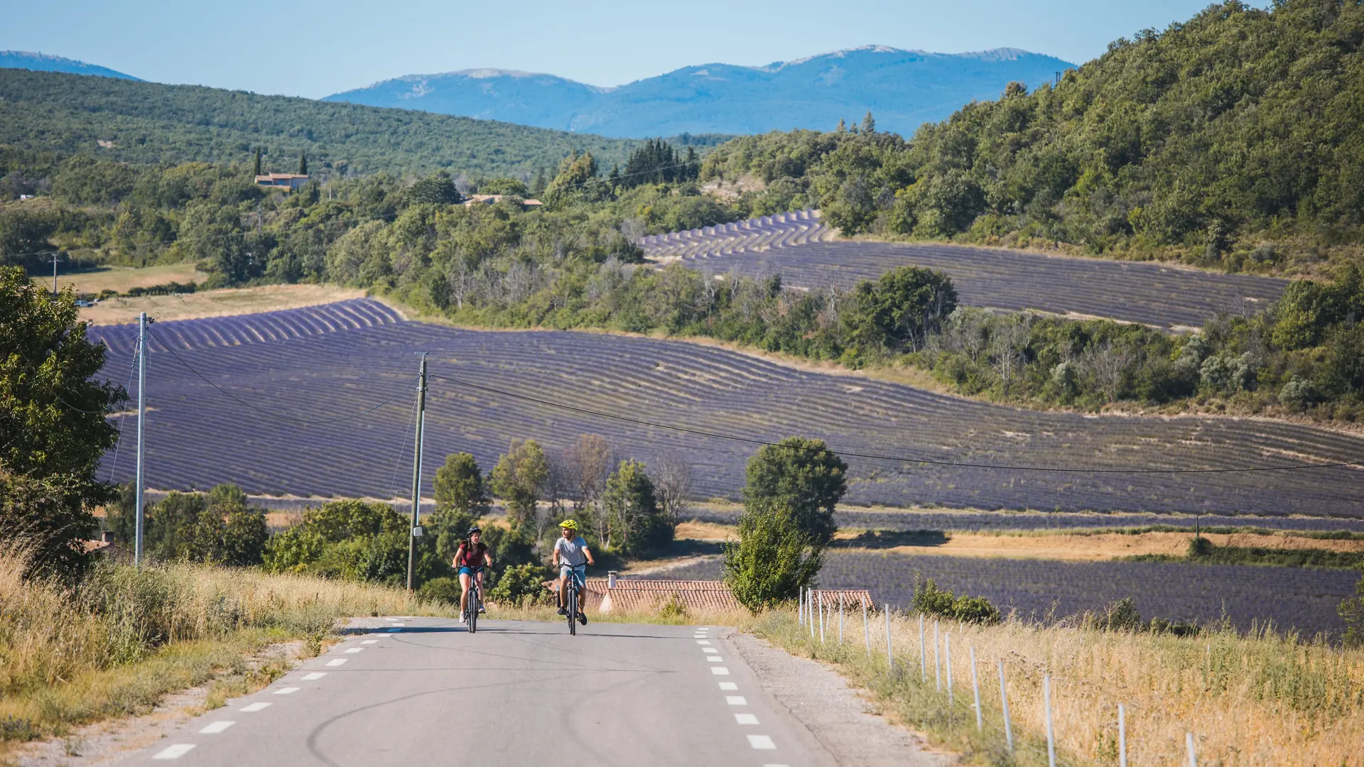 Lavande et vieilles pierres