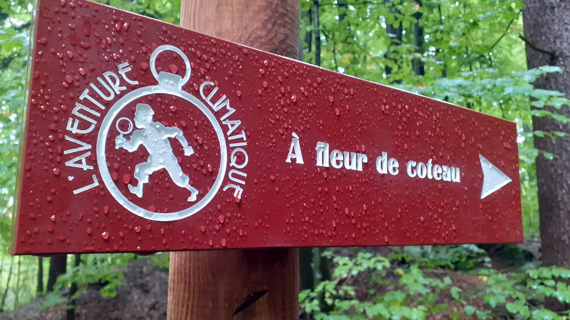 A fleur de Coteau