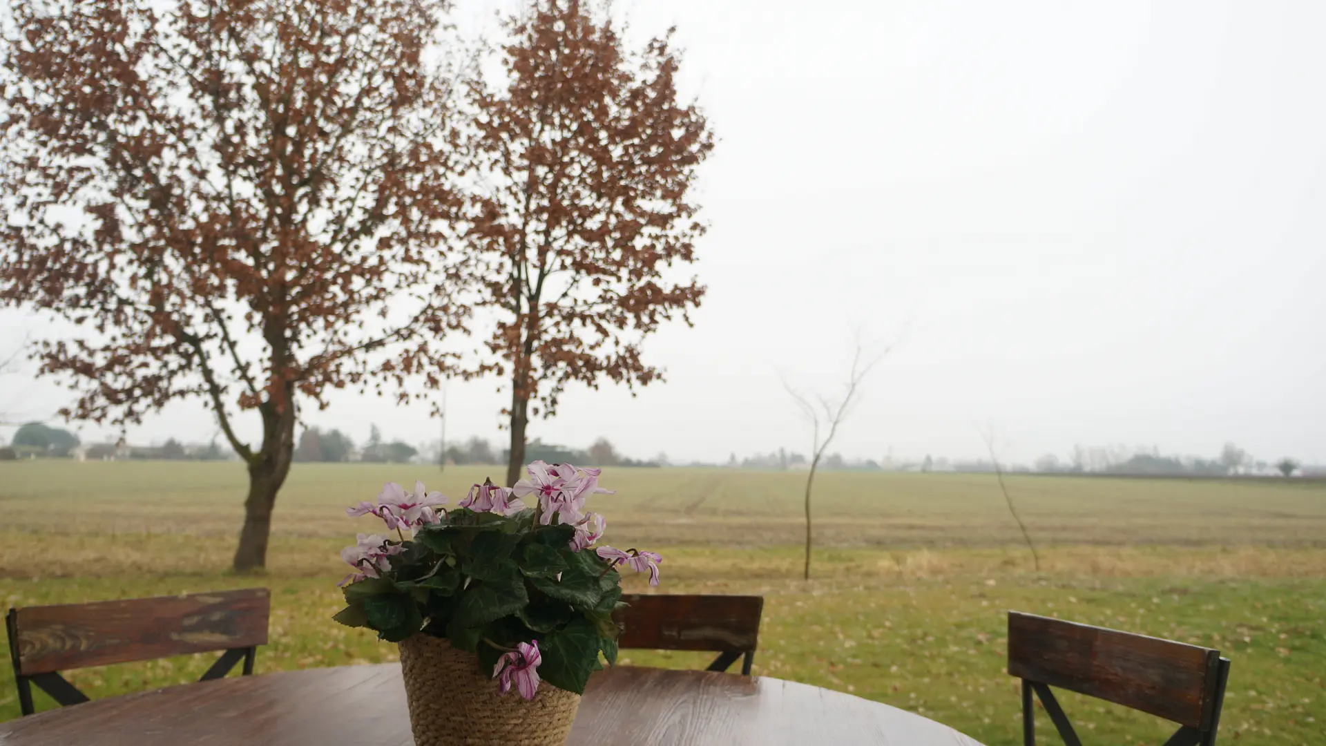 Le gîte d'Elia - vue