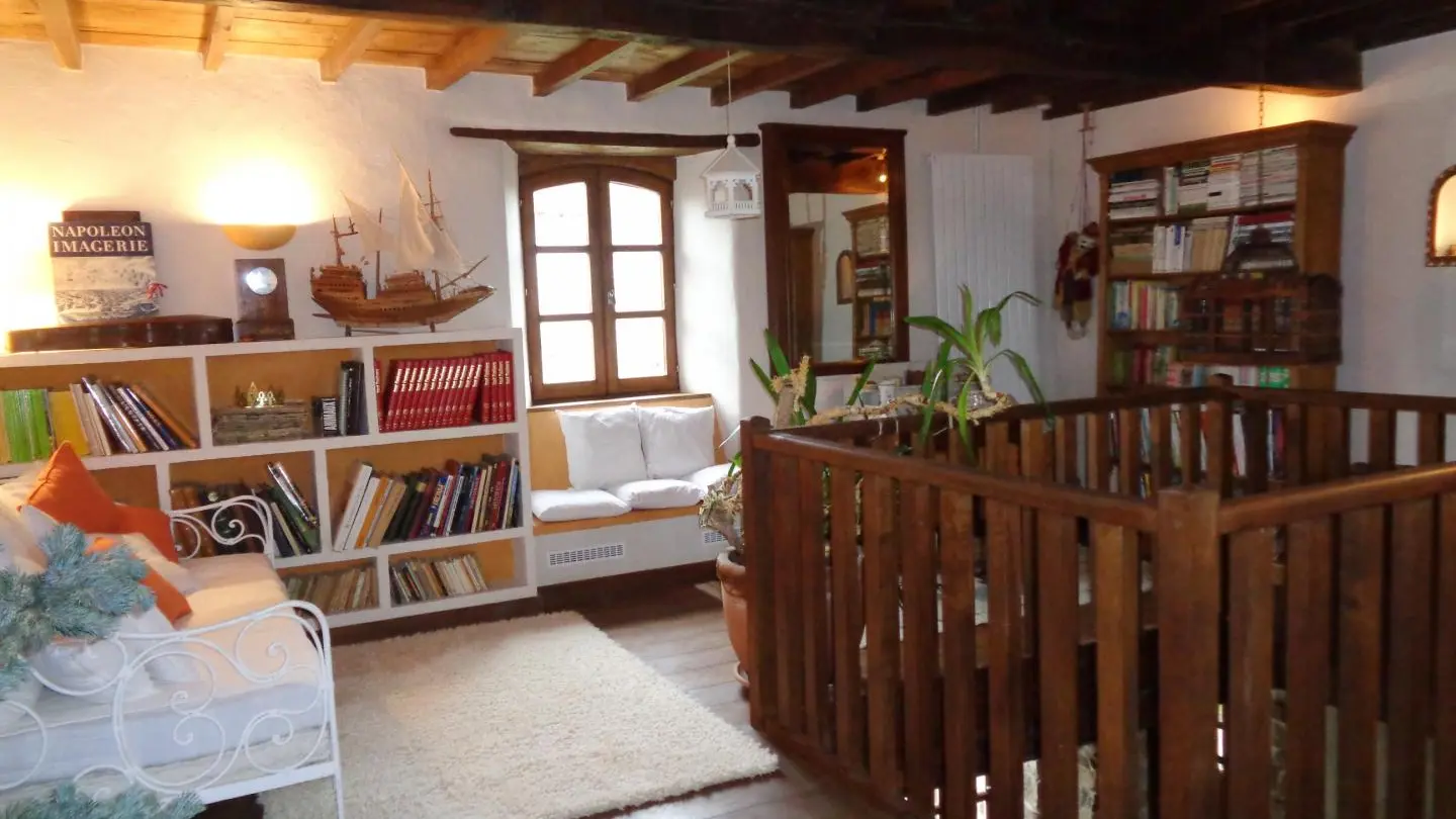 Salon bibliothèque.
