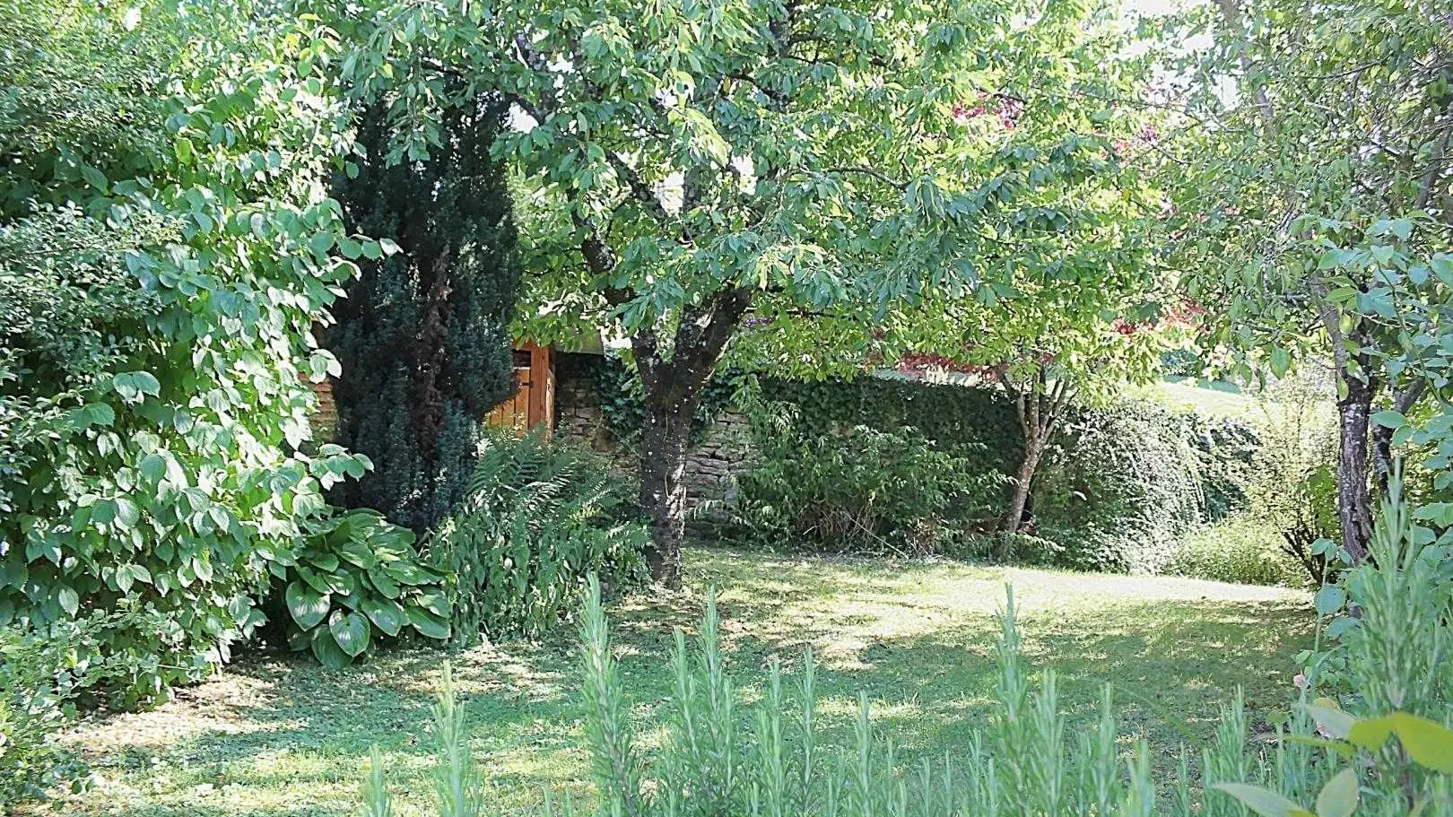 Le jardin