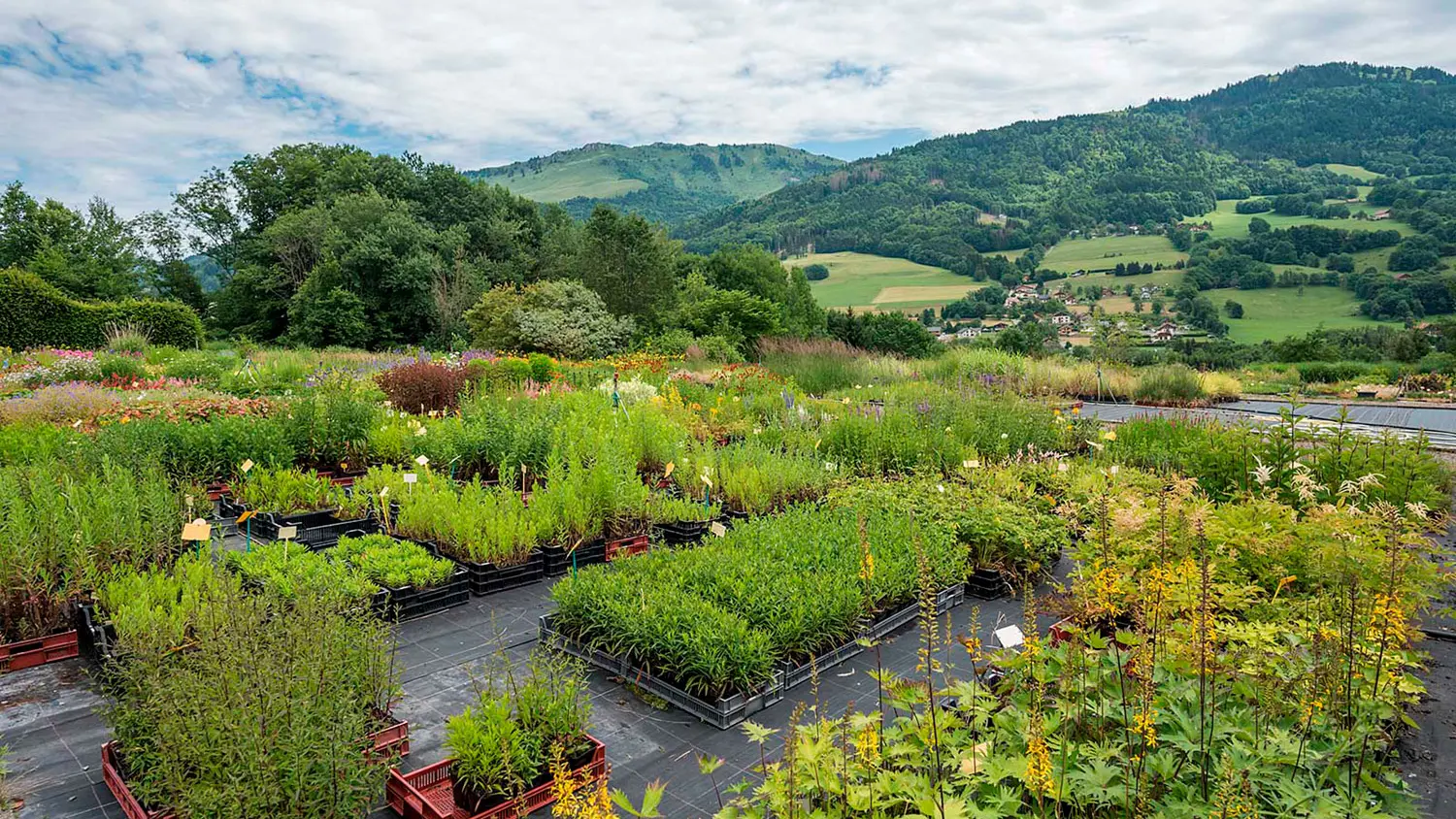 Jardins de montagne