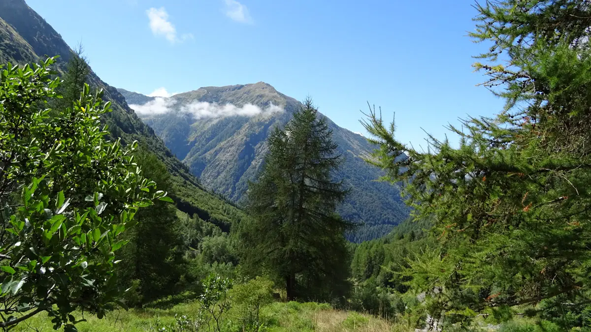 Itinéraire de randonnée jusqu'à la Cabane de Peyron roux