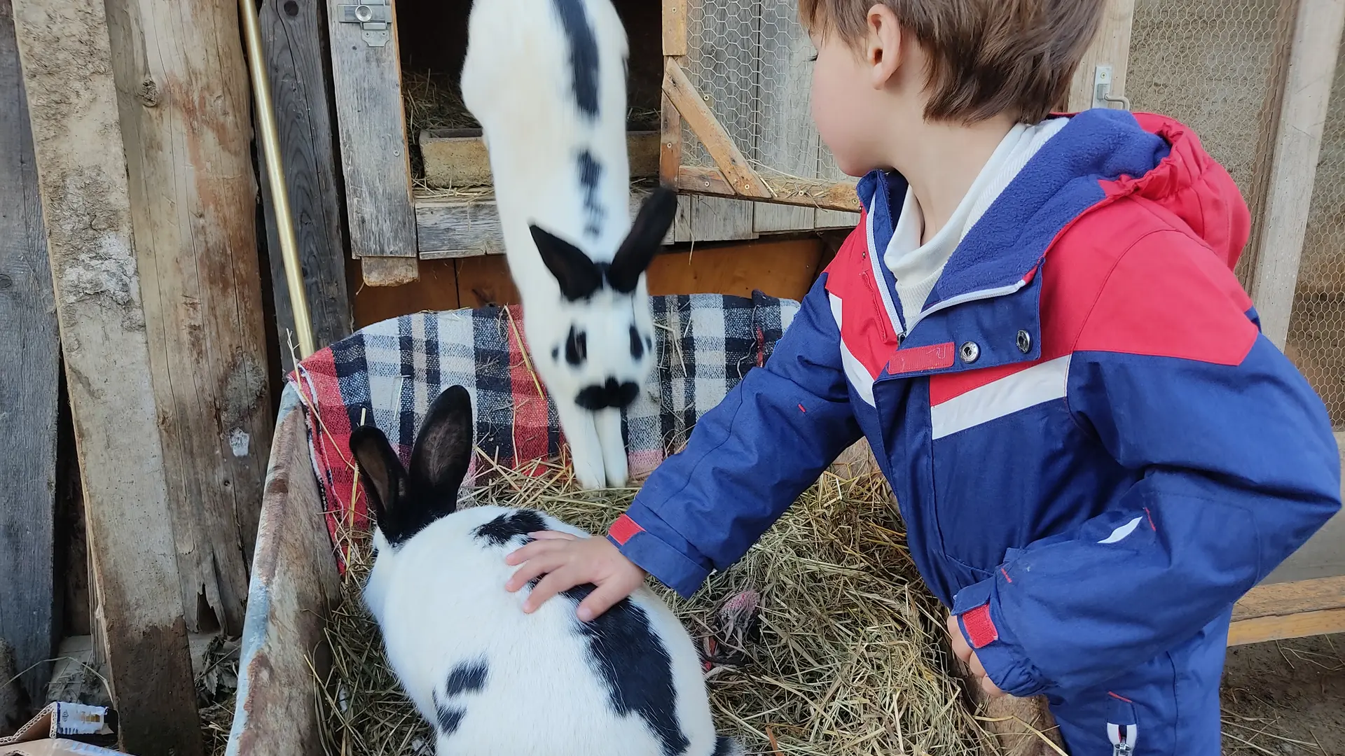 Kikinou et Maxou