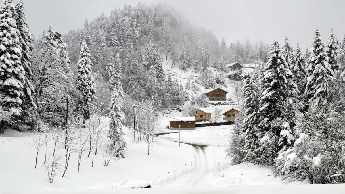 Col de la Faucille, Monts Jura