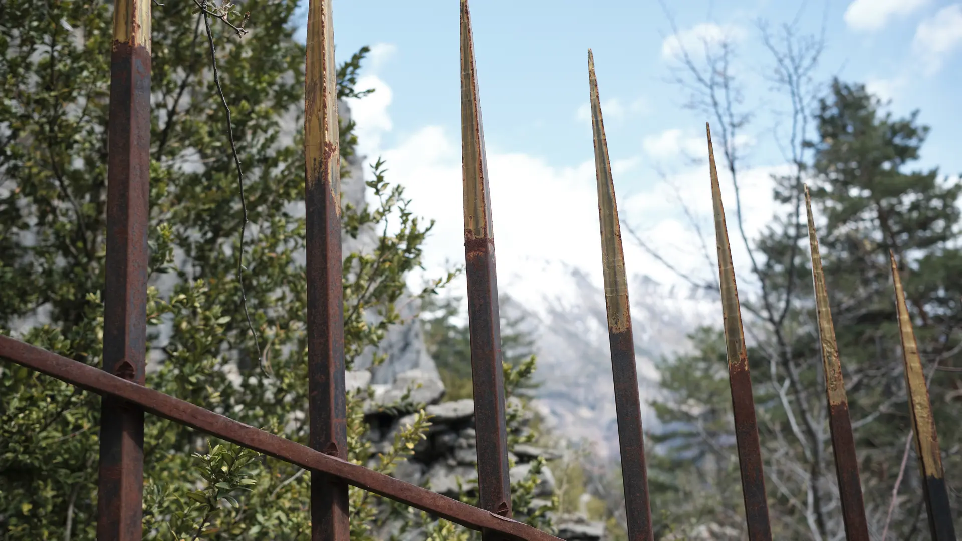 herman de vries, le sanctuaire de la nature et son bois sacré, 1999-2003, Collection musée Gassendi