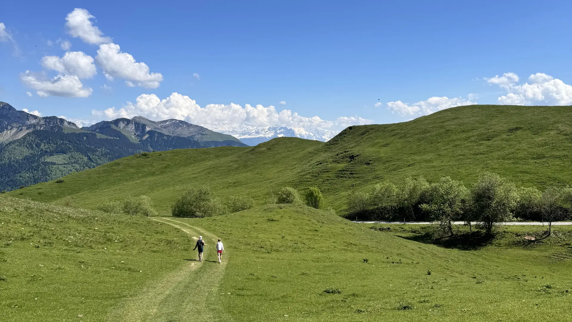 alpage de miribel