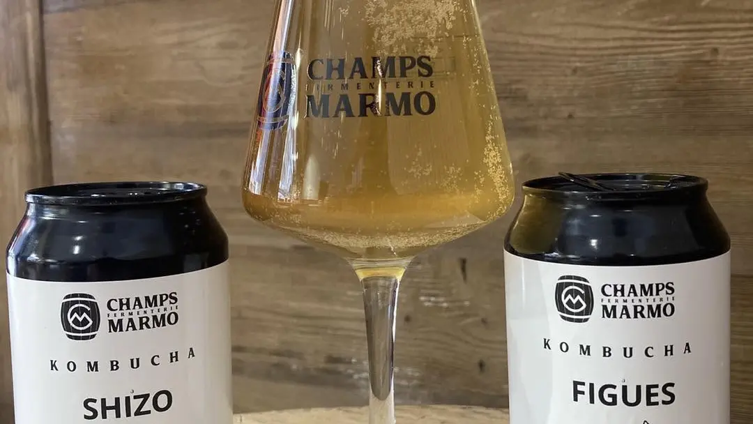 Kombucha des Champs Marmo