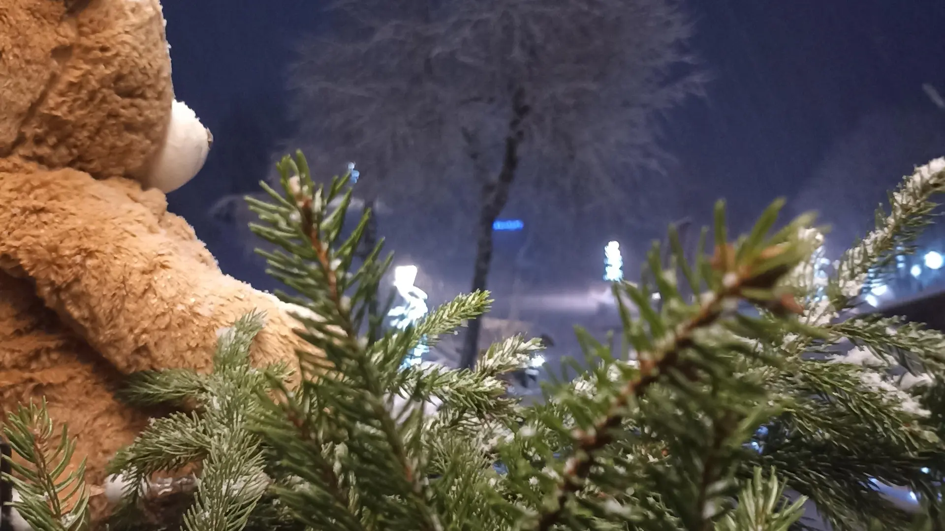 Déco hiver
