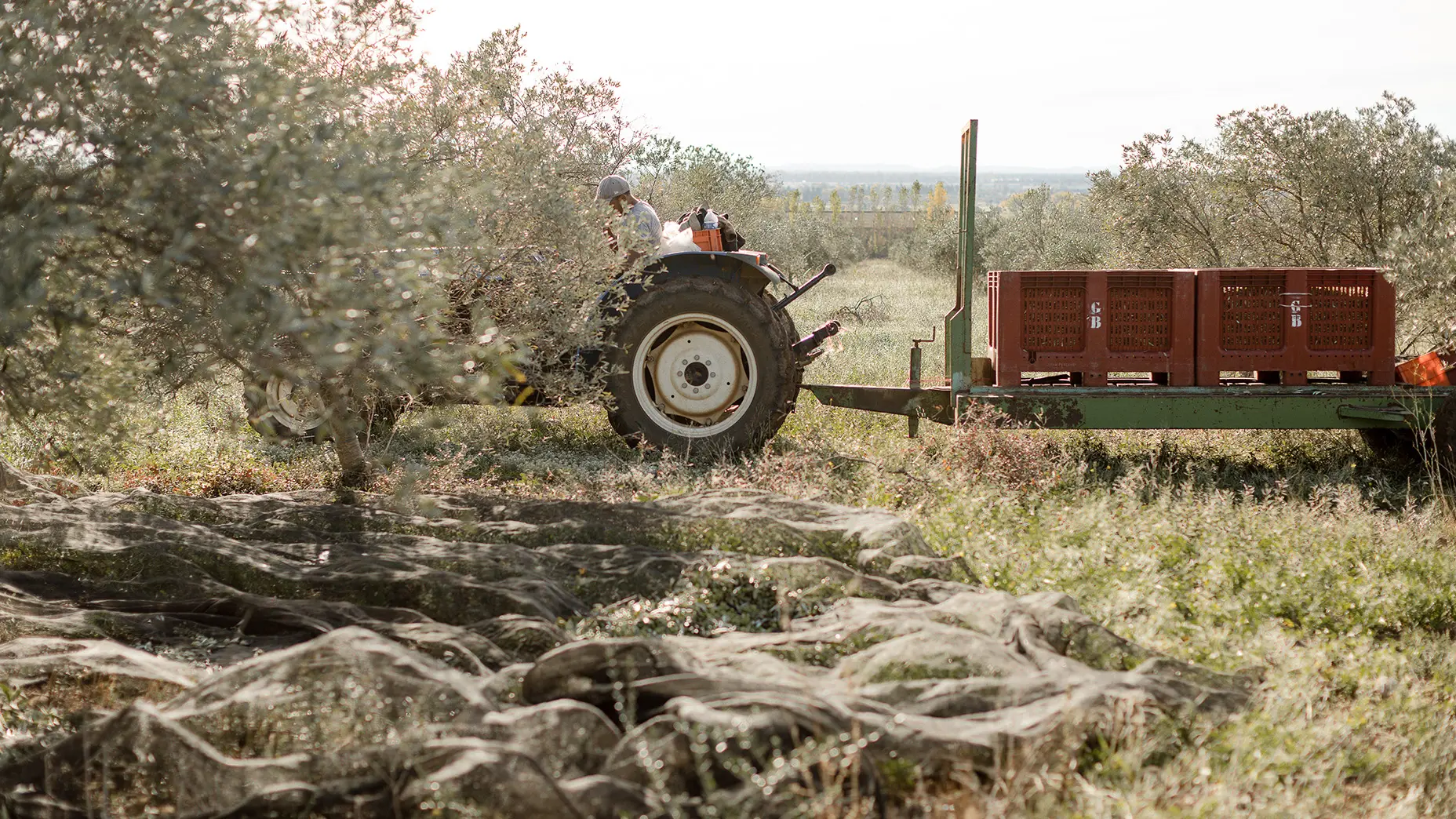 Domaine Jòlibois_Aureille