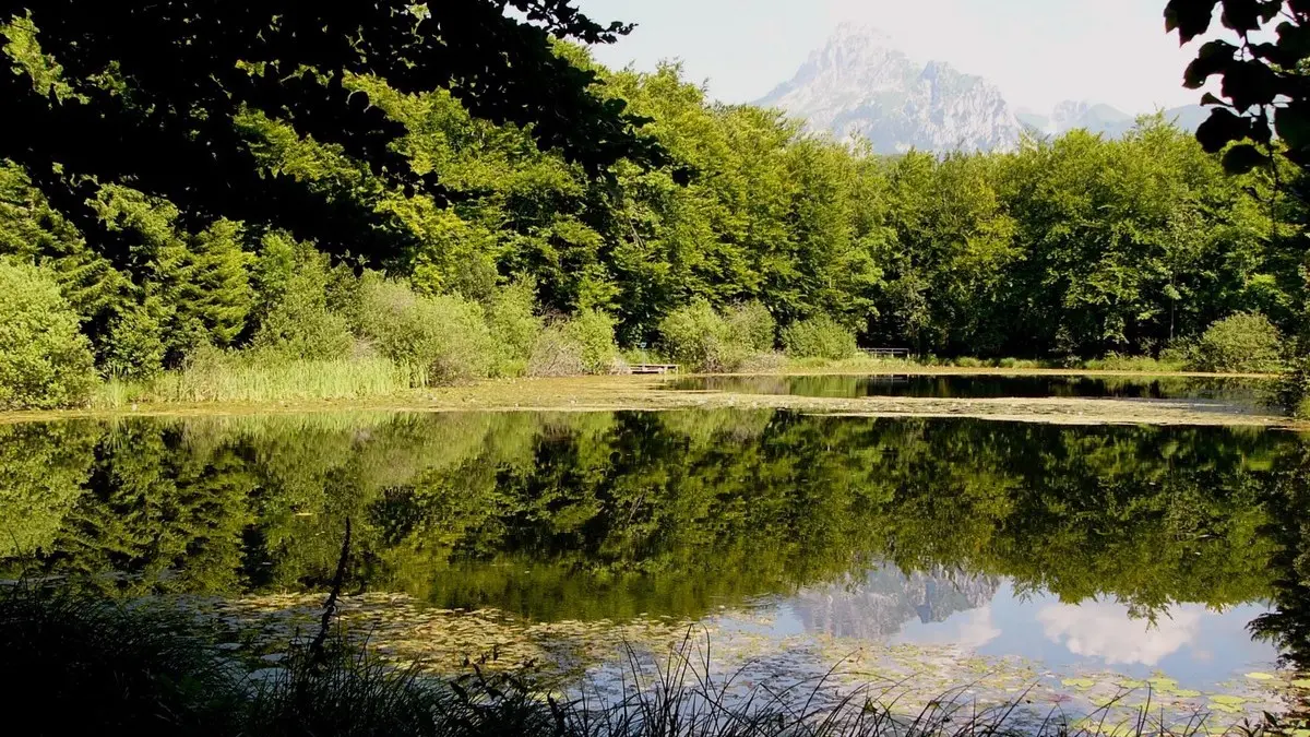 Lac noir