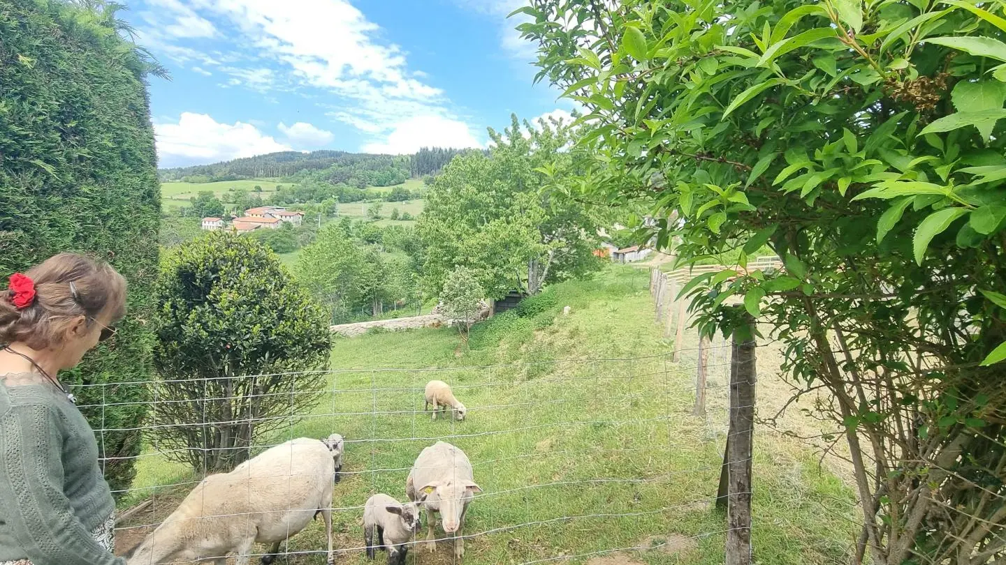 ...partage du pain avec les moutons...