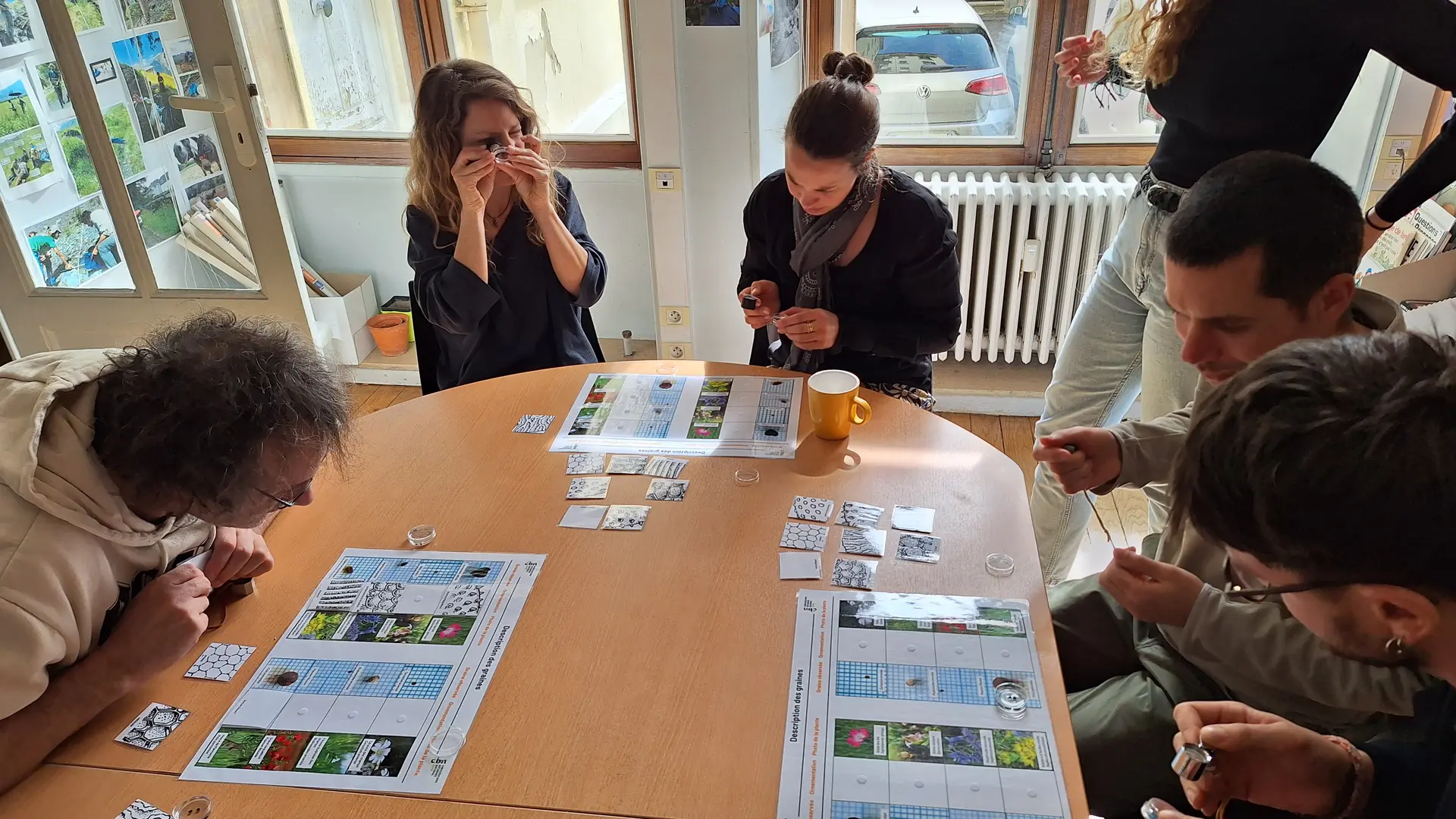 En pleine observation