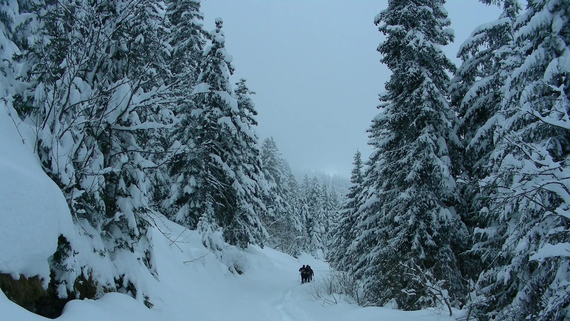 Sortie raquettes avec Michel Manini, Dévoluy, Hautes-Alpes